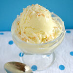 Homemade Toasted Coconut Ice Cream