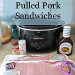 Easy Crock Pot Pulled Pork Sandwich Recipe