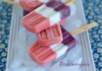 red,white, blue ice pops, blueberry ice pops, strawberry ice pops, non dairy ice pops, summer fruit recipes