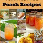 Peach Recipes, Summer Peach Recipes, Peaches, Fresh Peach recipes