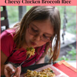 Easy Crock Pot Cheesy Chicken Broccoli Rice, Kid f