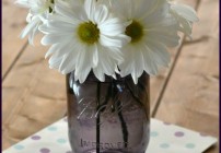 New Ball Purple Heritage Jars with a Spring Quote