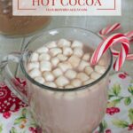 Lactose Free Hot Cocoa #LACTAID #DairyEnvy