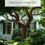 How To Plant A Florida Friendly Landscape #SaveWater
