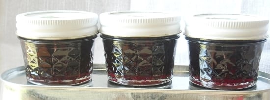 3 small jars of homemade blackberry jam.