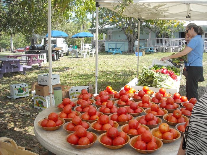 Fresh from Florida - Seen at the Alliance for the Arts Farmers Market in Fort Myers, Florida via flouronmyface.com