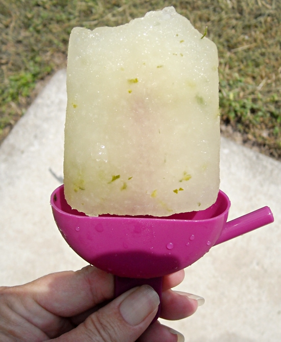 mojito ice pop recipe