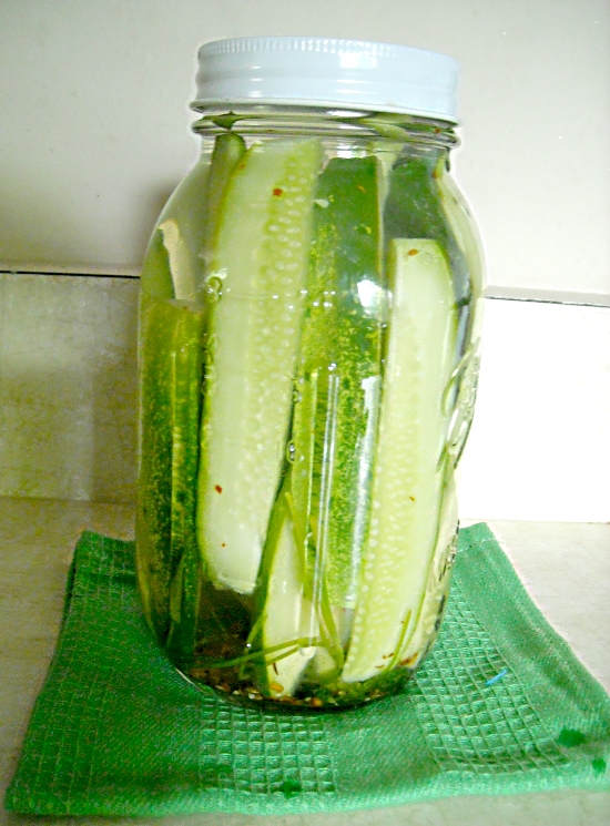 How to make Refrigerator Garlic Dill Pickles via flouronmyface.com