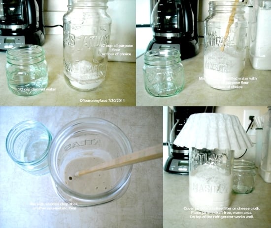 sourdough starter, how to make a starter