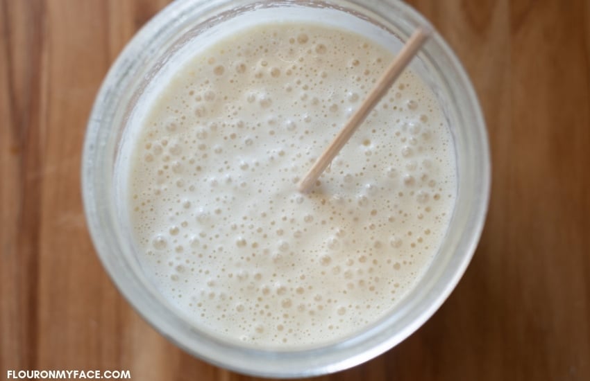 active bubbles on top of a Sourdough Starter recipe