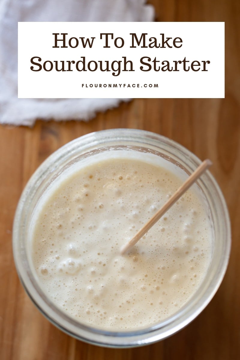 https://flouronmyface.com/wp-content/uploads/2011/08/how-to-make-sourdough-starter.jpg