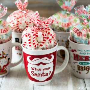 Hot Cocoa In A Mug Gifts