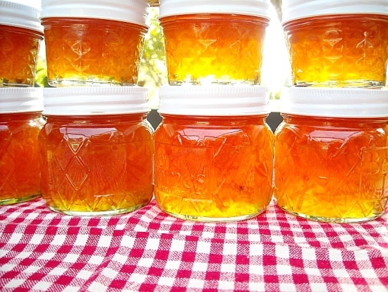 Fresh From Florida, Ciitrus, backyard citrus recipes, Citrus Marmalade,