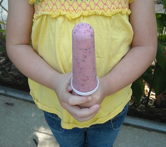 Very Berry Yogurt Ice POps