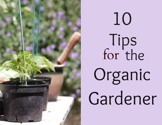 10 Tips for the Organic Gardener via flouronmyface.com