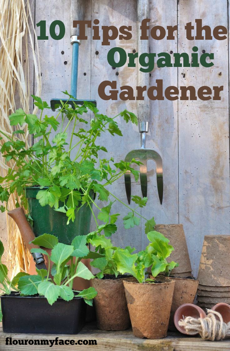 10 Tips for the Organic Gardener via flouronmyface.com