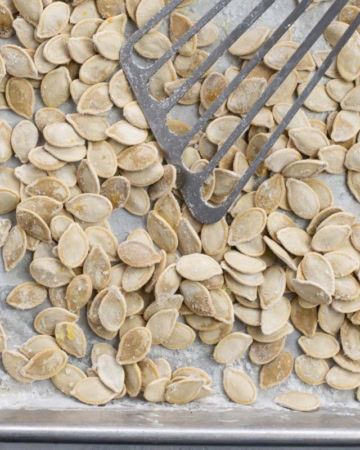 Salted and roasted pumpkin seeds on a baking tray with a metal spatula as they cool.