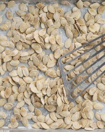 Salted and roasted pumpkin seeds on a baking tray.