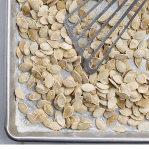Salted and roasted pumpkin seeds on a baking tray with a metal spatula as they cool.