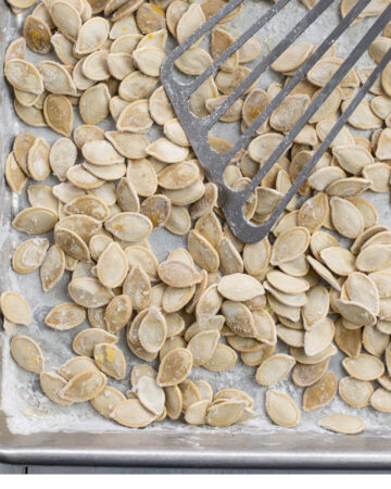 Salted and roasted pumpkin seeds on a baking tray with a metal spatula as they cool.