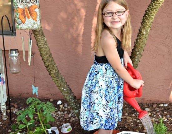 strawberry plants, tea, Bigelow, Earth Day