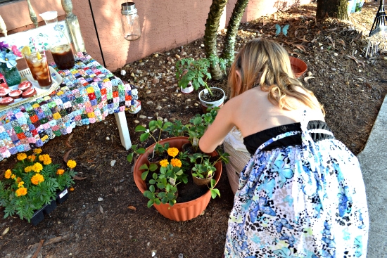 strawberry plants, Earth Day, Bigelow Tea Party, Garden Tea Party