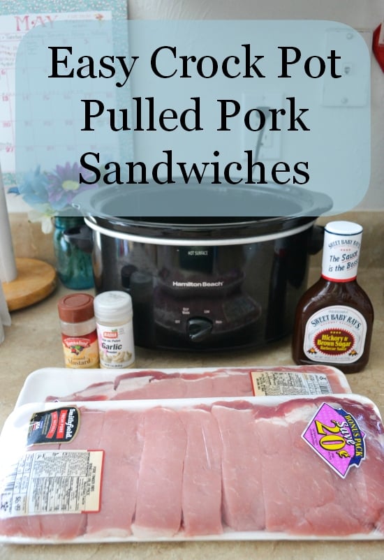 Easy Crock Pot Pulled Pork Sandwich recipe 