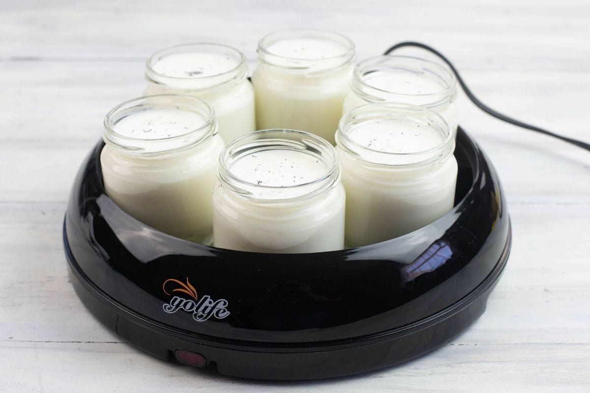 6 small jars filled with cultured milk and placed in a yogurt maker.