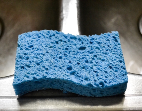 An All Natural Way To Get Rid of A Smelly Sponge - Whole Lifestyle Nutrition