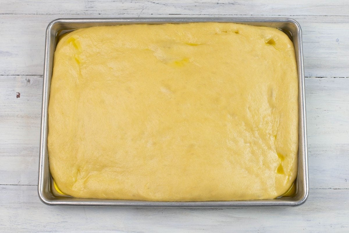 Example of how high the dough should rise in the baking pan.