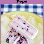 Blueberry Cheesecake Ice Pops, homemade ice pop recipes, easy summer treat recipes, blueberry recipes, blueberries