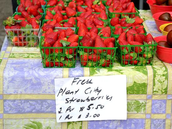 Plant City Strawberries