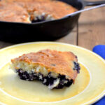 Blueberry Cake recipe from flouronmyface.com