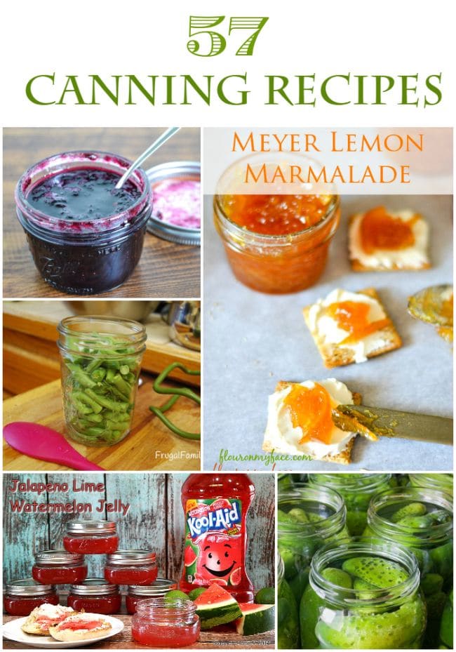 57 Canning Recipes via flouronmyface.com