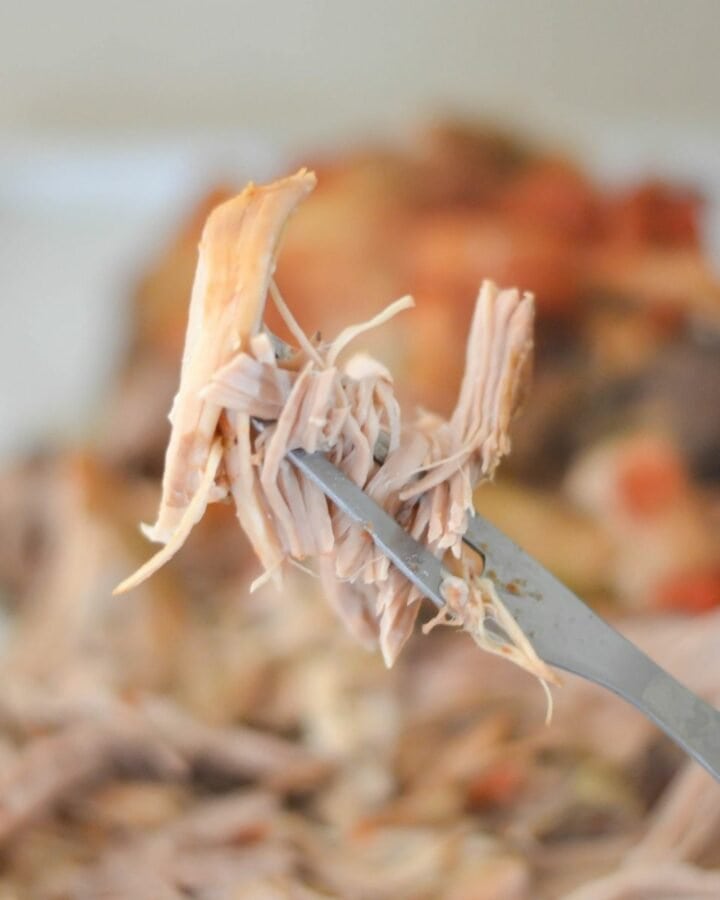 Closeup image of serving fork with shredded Cuban pork speared on the tip.