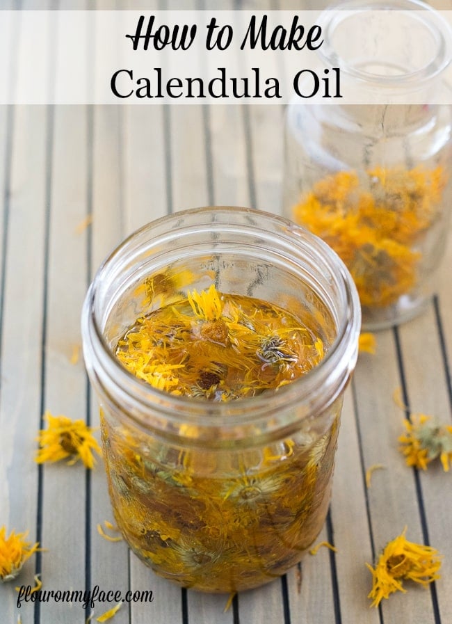 How to make Calendula oil for a base for homemade bath and body products like lip balm, salve and lotions. via flouronmyface.com