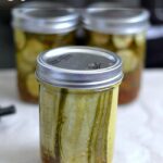 Kosher Dill Pickle Sandwich Slices via flouronmyface.com