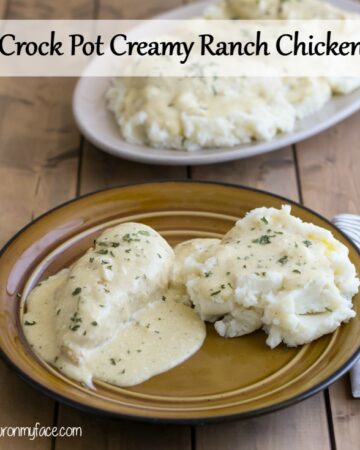 Crock Pot Creamy Ranch Chicken recipe via flouronmyface.com
