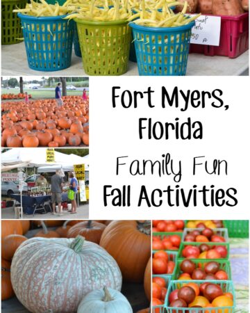 Fort Myers Florida Fall Activities via flouronmyface.com