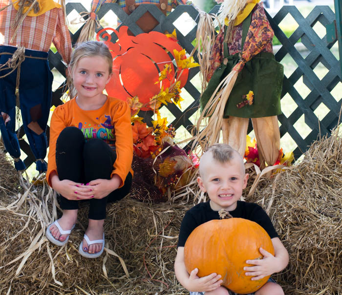 Pumpkin Patch 2015 via flouronmyface.com