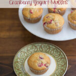 Easy Banana Cranberry Yogurt Muffin recipe via flouronmyface.com
