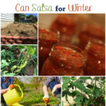 How to grow a salsa garden and can salsa for winter via flouronmyface.com