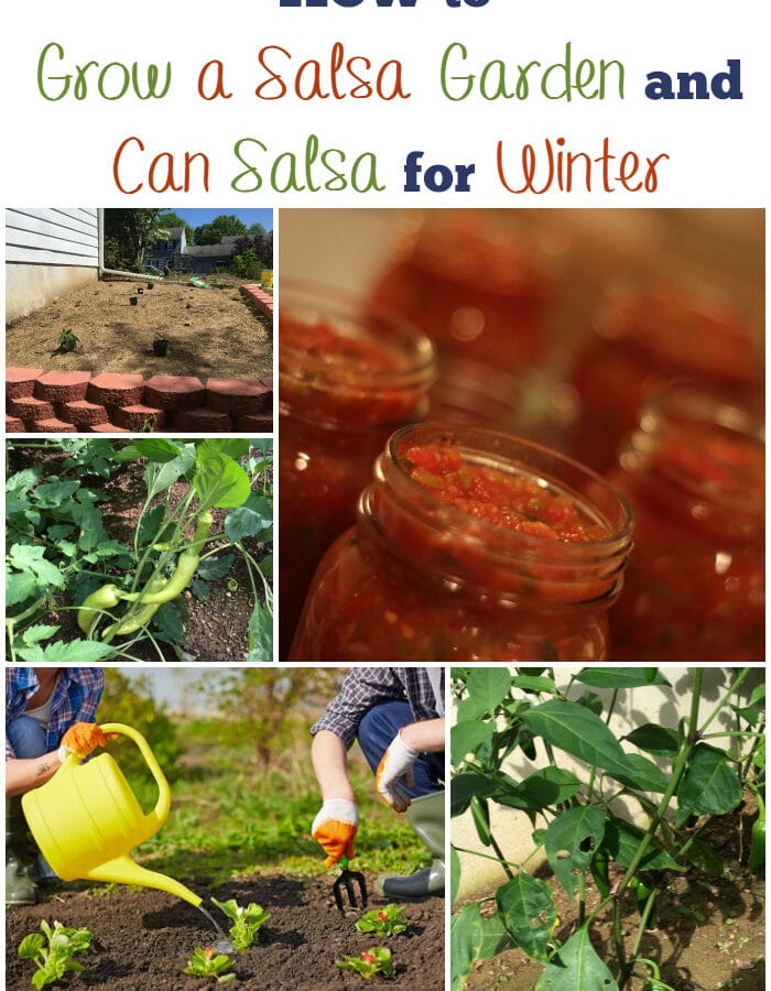 How to grow a salsa garden and can salsa for winter via flouronmyface.com