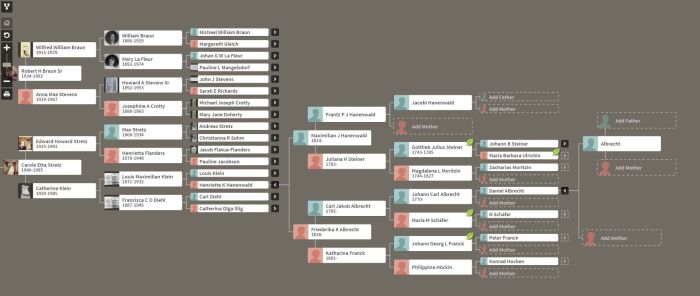 9 Generations of the Klein family via flouronmyface.com