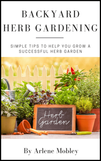 Backyard Herb Gardening | Simple Tips to Help You Grow a Successful Herb Garden via flouronmyface.com