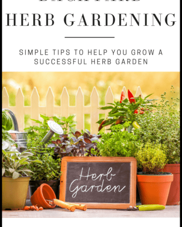 Backyard Herb Gardening | Simple Tips to Help You Grow a Successful Herb Garden
