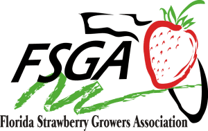 Fresh from Florida Strawberries Logo via flouronmyface.com