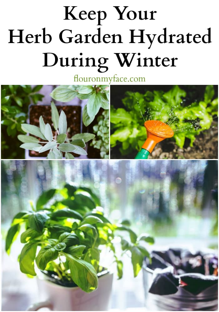 How to Keep Your Herb Garden Hydrated During Winter via flouronmyface.com