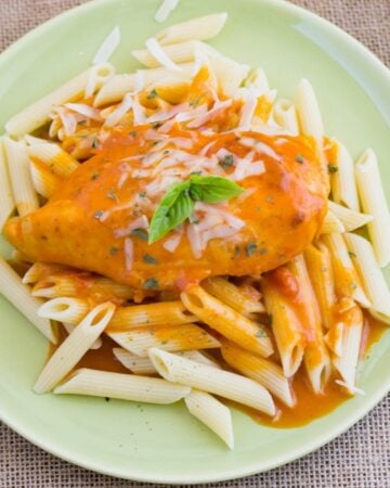 Boneless chicken breast slow cooked in Vodka sauce served over penne pasta on a dinner plate.
