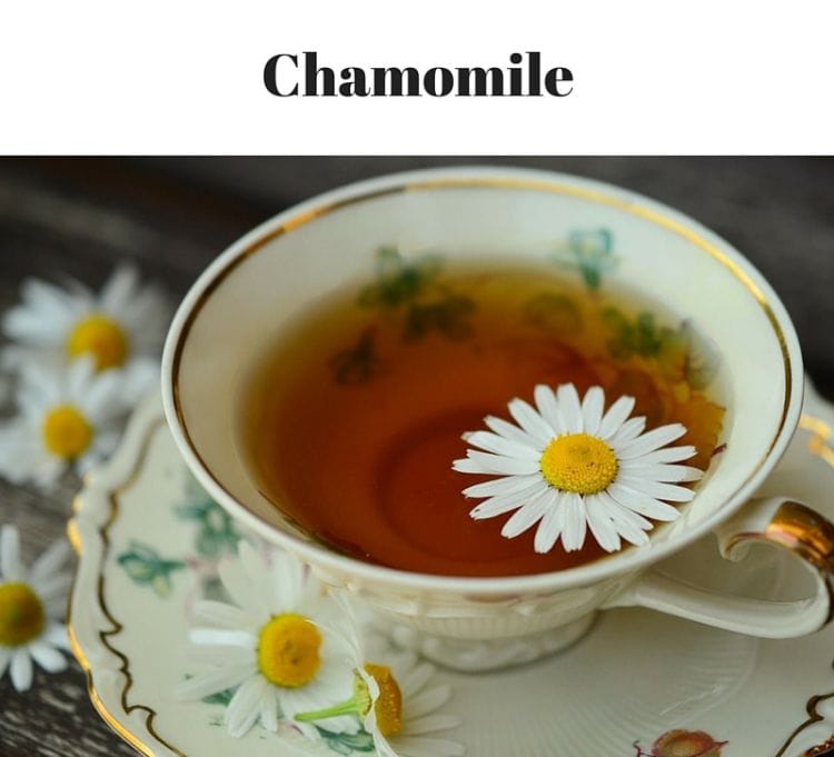 Grow Chamomile in your Kitchen Garden via flouronmyface.com